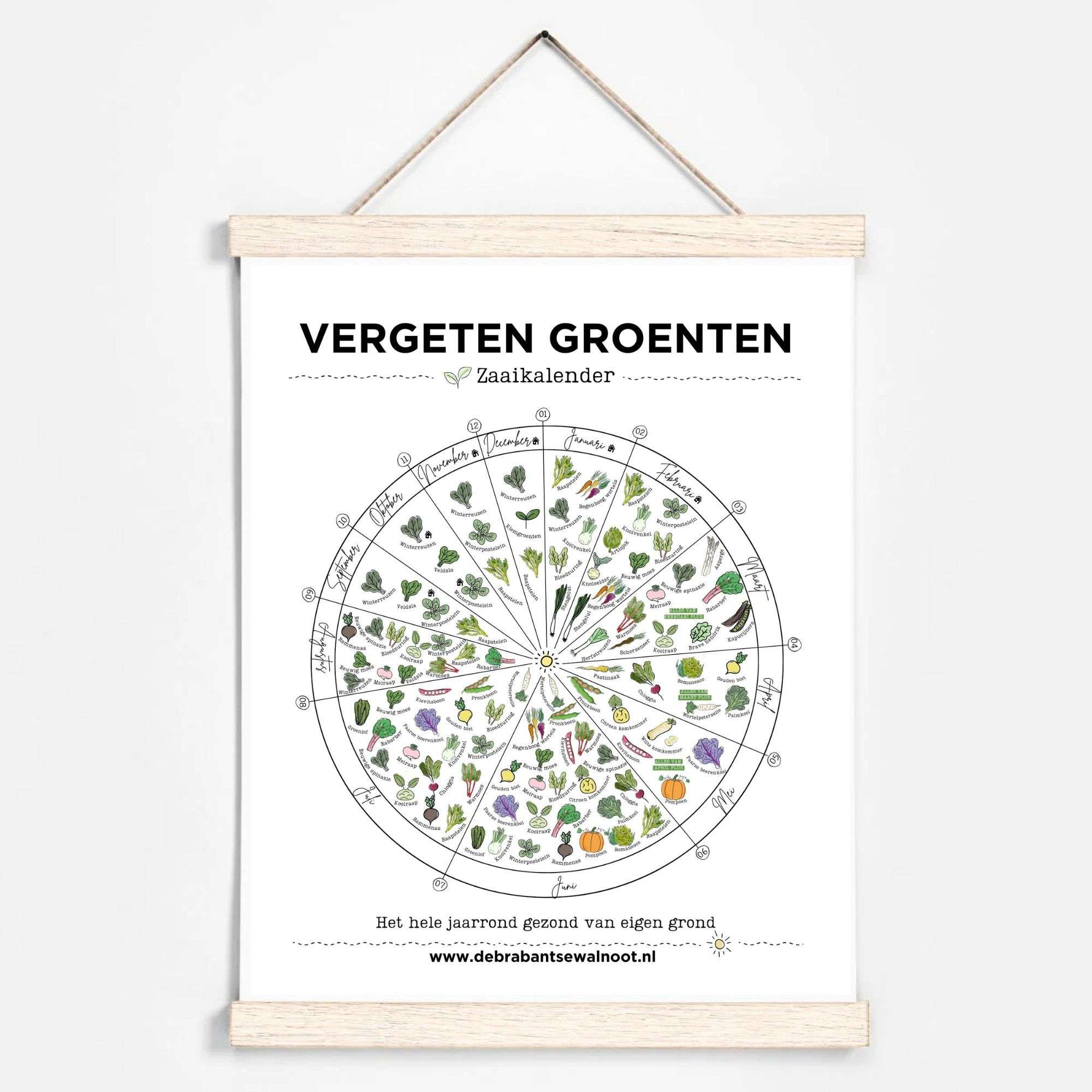 vergeten groenten zaaikalender
