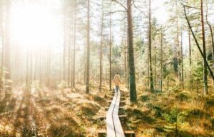 Lees meer over het artikel Natuurlijke verbinding