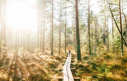 Je bekijkt nu Natuurlijke verbinding