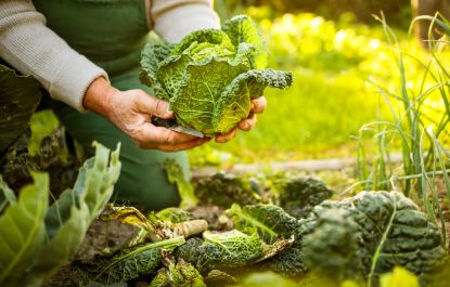 Lees meer over het artikel Een lang leven fit zonder sportschool