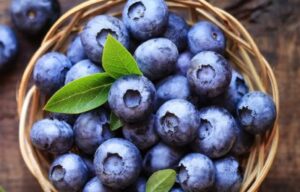 Lees meer over het artikel Top 10 Dirty Dozen