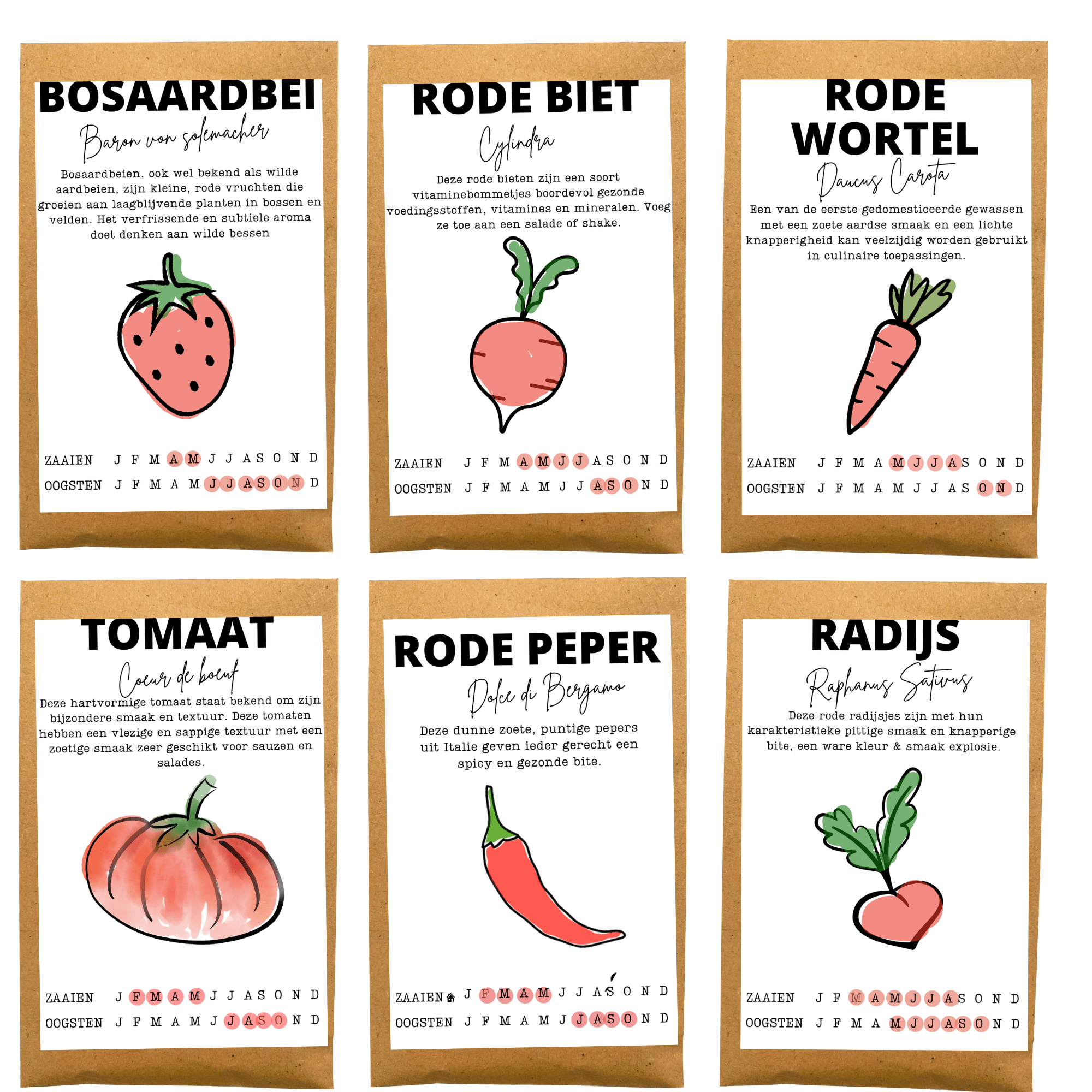 Moestuinliefde Zaaibox - Afbeelding 2