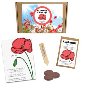 Klaproos Kadoosje Small