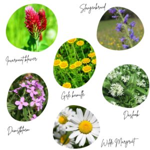 Blije Bijen Walhalla