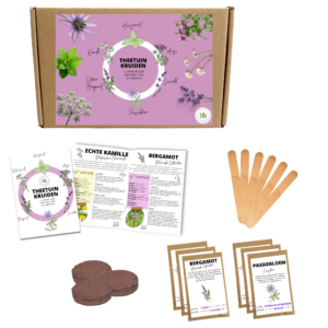 Moestuinbox Theetuin Kruiden