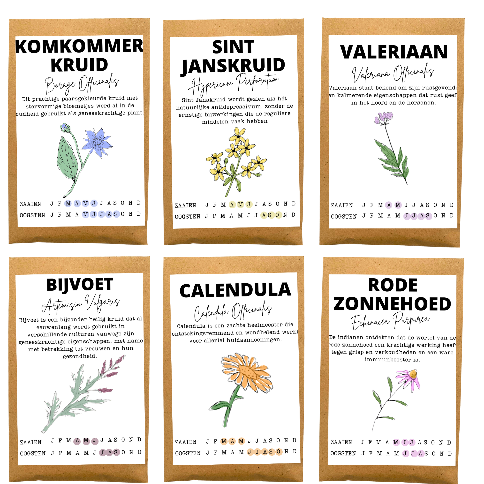 Geneeskrachtige kruiden Box - Afbeelding 2