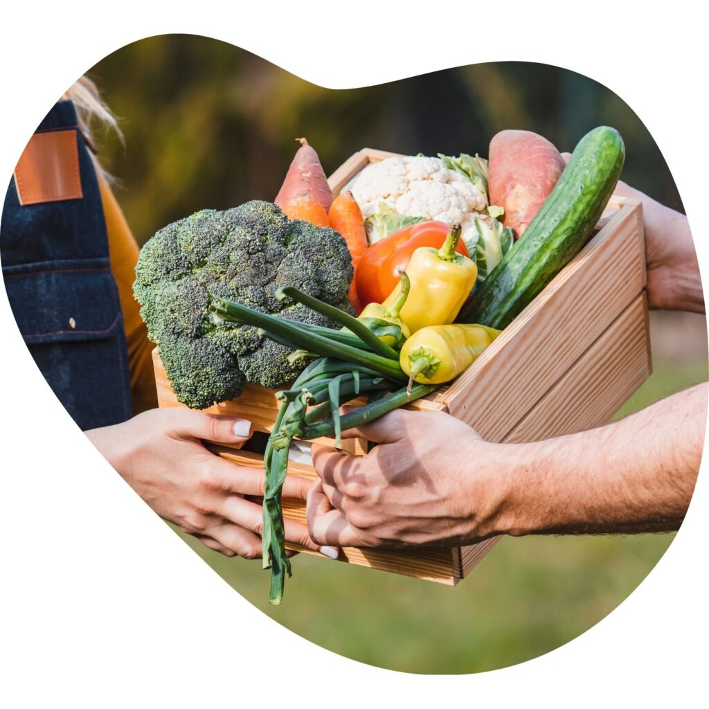 lokaal leefstijlaanbod