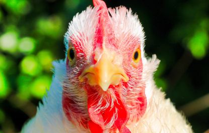 Lees meer over het artikel Zelf aan het roer van een gezonde leefomgeving