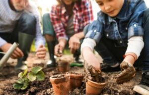 Moestuin als Medicijn