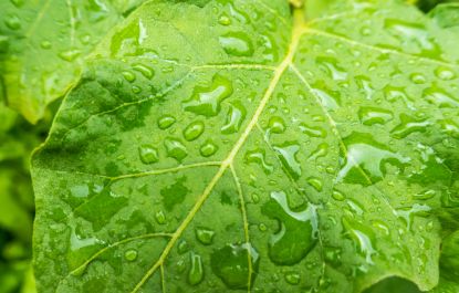 Lees meer over het artikel Goed slapen tijdens zwoele zomernachten