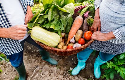 Lees meer over het artikel Moestuinieren: natuurlijke ontspanning en mentaal welbevinden voor iedereen
