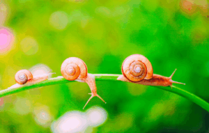 Een stapje, een tegel, een zaadje: wat zet jou in beweging?
