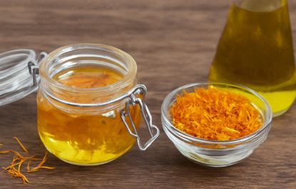 Lees meer over het artikel Calendula-olie (goudsbloemolie)