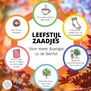 LEEFSTIJLZAADJES VOOR MEER ENERGIE IN DE HERFST