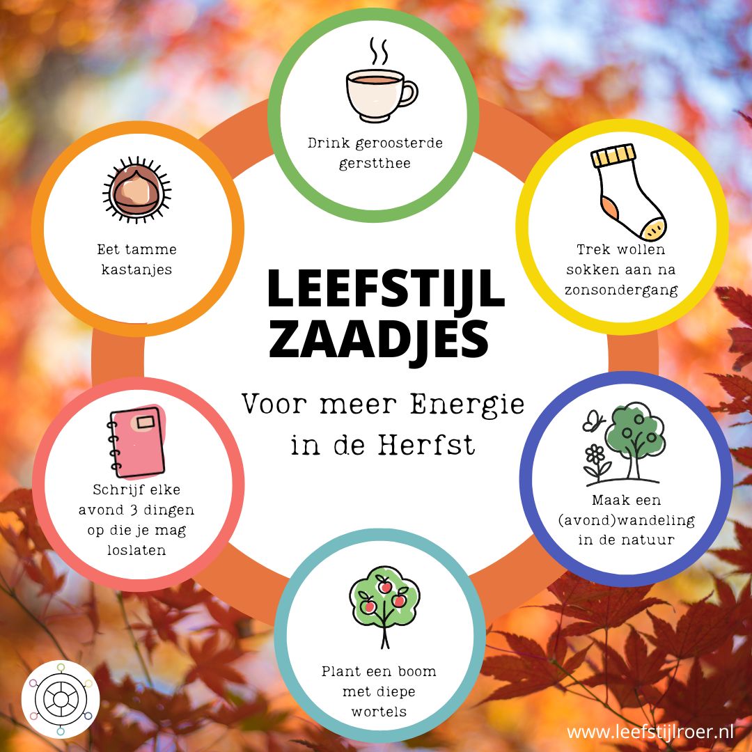 Lees meer over het artikel LEEFSTIJLZAADJES VOOR MEER ENERGIE IN DE HERFST