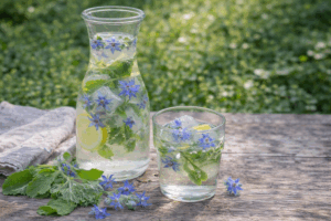 Komkommerkruid – Zomerwater met bloemenijs