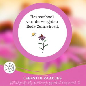 De vergeten Rode Zonnehoed