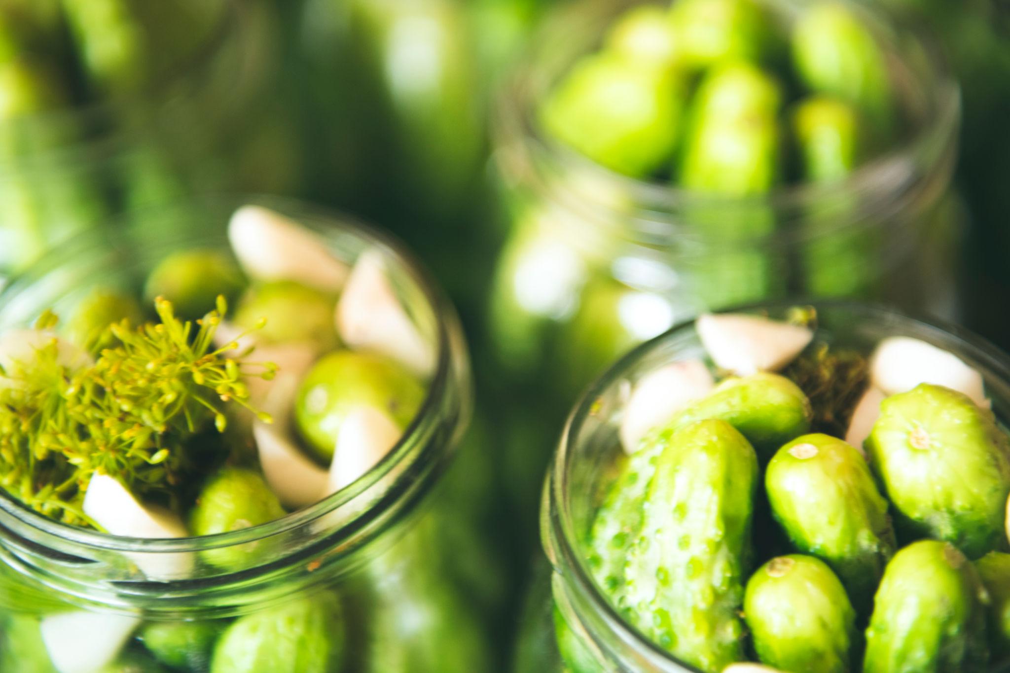 Lees meer over het artikel Witte komkommer Pickle