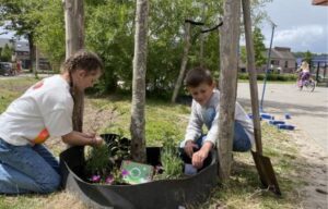 Boomtuintjes voor gemeente Steenbergen