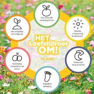 Lees meer over het artikel Het Leefstijlroer om in Juni