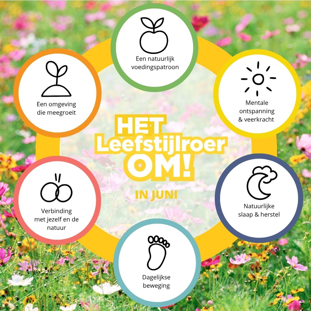 Lees meer over het artikel Het Leefstijlroer om in Juni