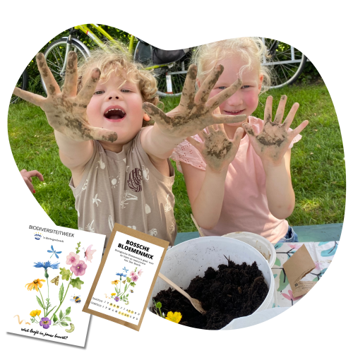 activiteit leefstijlzaadjes